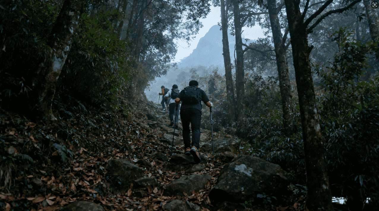 优质免费苹果梯子加速器软件推荐排行